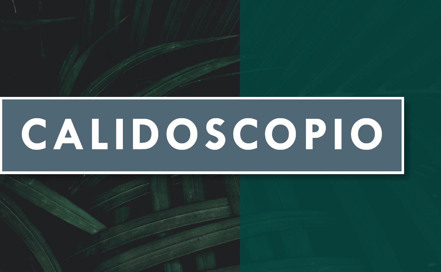 Calidoscopio abril-junio 2022